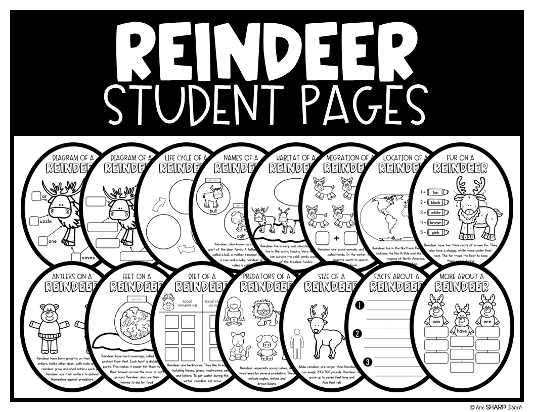 All About Reindeer Craft, Reindeer Math & Literacy, Christmas Craft & Activities | Printable Classroom Resource | One Sharp Bunch