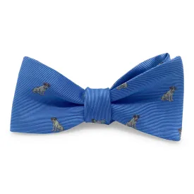 Beagle: Bow - Blue