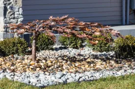 Copper Fountain Kit - Creeping Japanese Maple