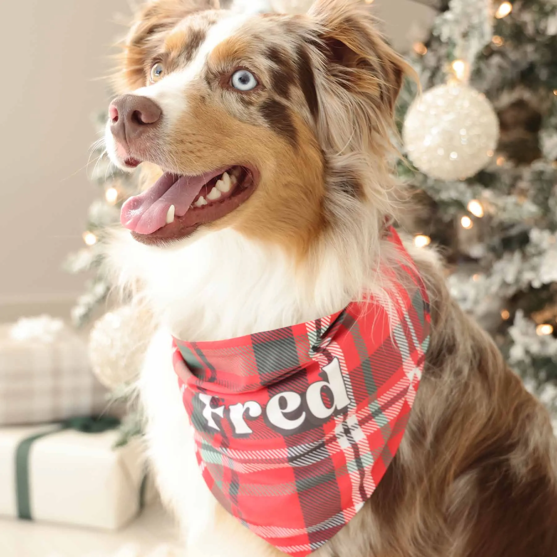 Cozy Season Personalized Pet Bandana