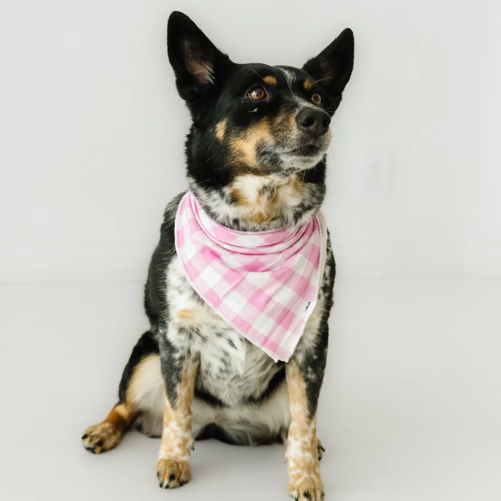 Pink Gingham Pet Bandana