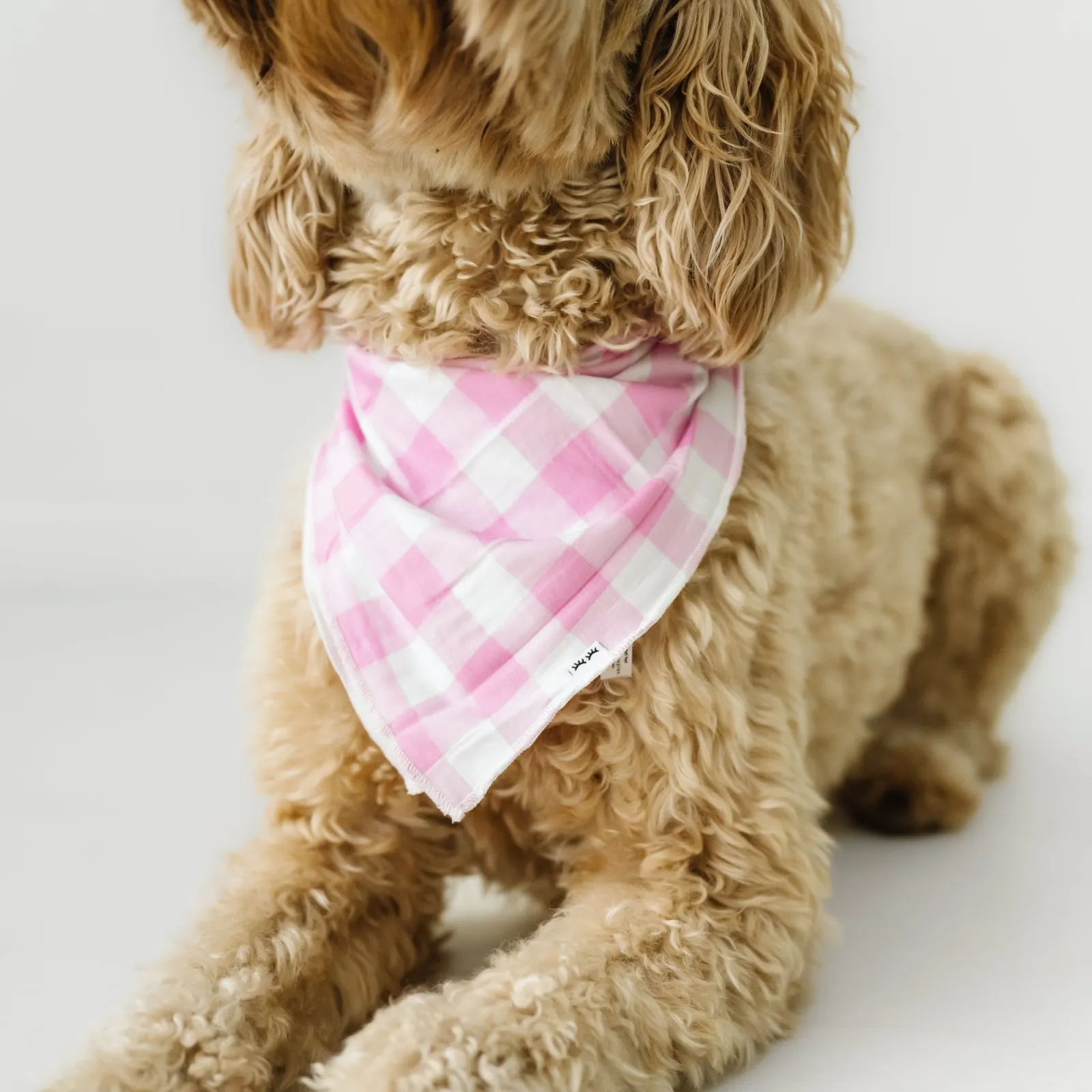 Pink Gingham Pet Bandana