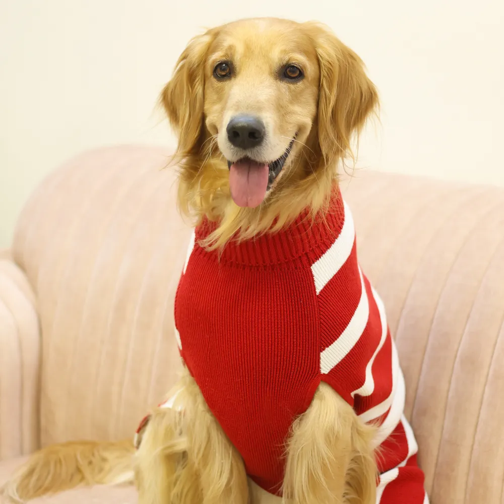 Red Striped Sweater