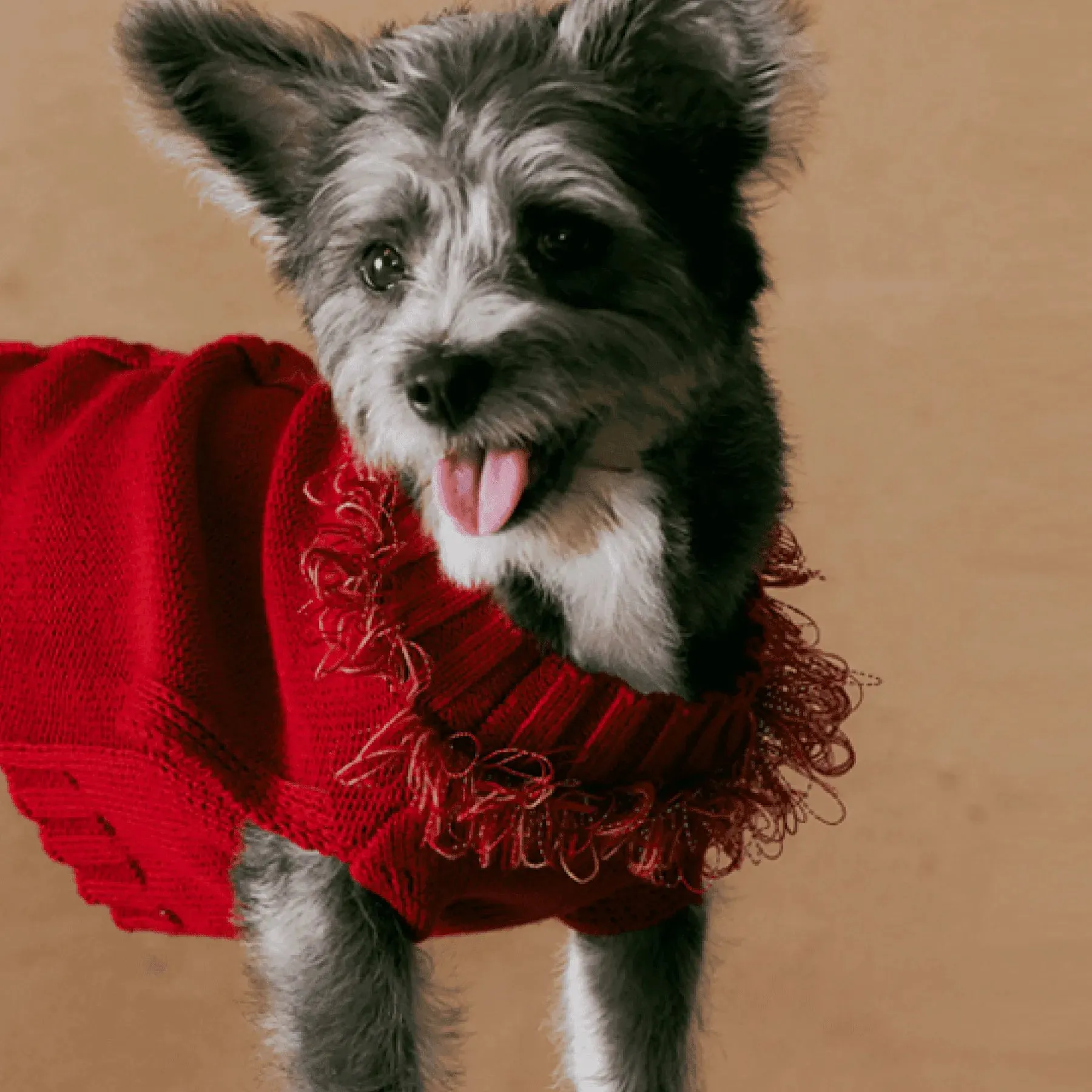 Reflective Dog Sweater