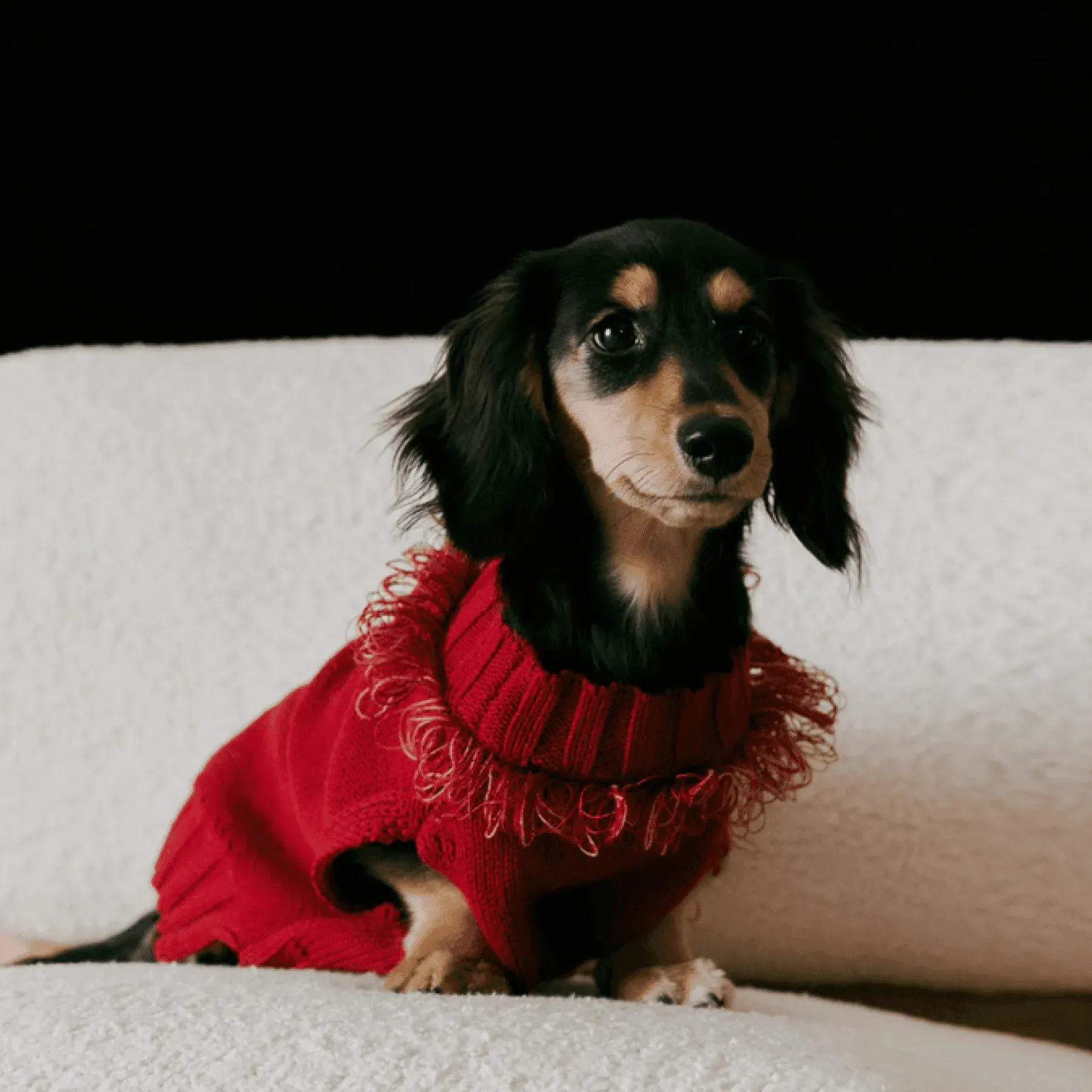 Reflective Dog Sweater